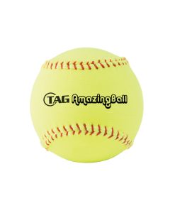 TSB570-11 ~ Tag Amazing Softball 11"